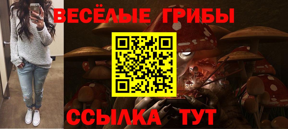Галлюциногенные грибы мицелий Калуга
