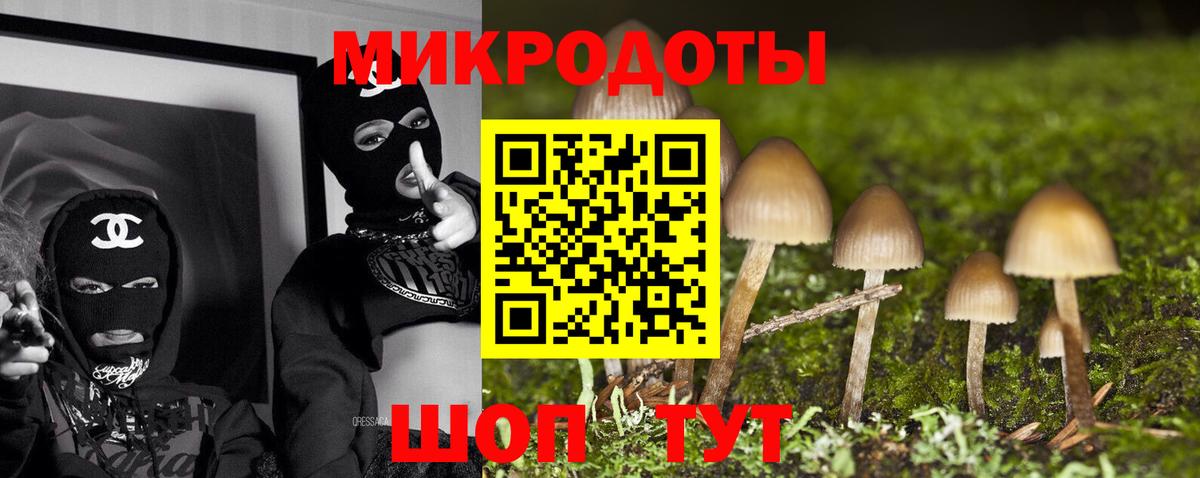 Калуга  Псилоцибиновые грибы Psilocybe  Вход с VPN 